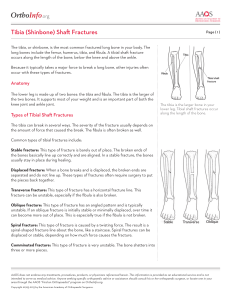 org Tibia (Shinbone) Sha Fractures