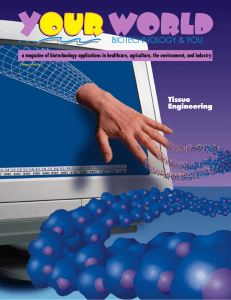 Tissue Engineering - The Biotechnology Institute