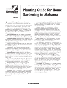 Planting Guide for Home Gardening in Alabama