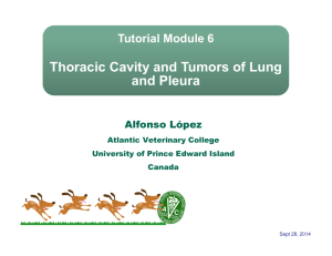 Thoracic Cavity and Tumors of Lung and Pleura