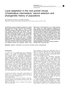 Local adaptation in the rock pocket mouse (Chaetodipus