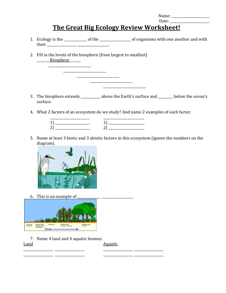 The Great Big Ecology Review Worksheet! Inside Ecology Review Worksheet 1