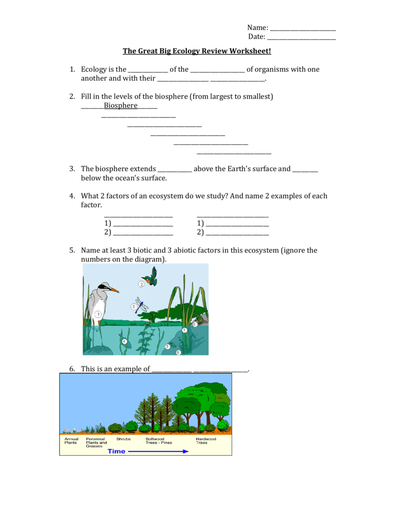 The Great Big Ecology Review Worksheet! Inside Ecology Review Worksheet 1