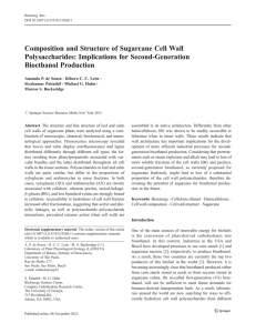 Composition and Structure of Sugarcane Cell Wall Polysaccharides