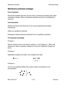 Membrane potential (voltage)