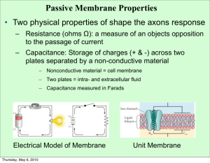 Passive Membrane Properties