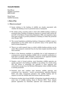 WILDLIFE FEEDING WILDLIFE FEEDING Peta Moore Wildlife