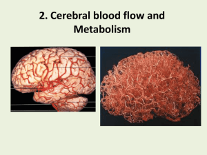 2. Cerebral blood flow and Metabolism