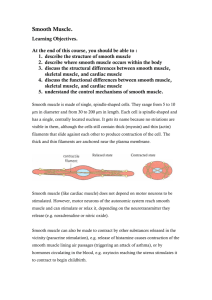 Smooth Muscle - Judith Brown CPD