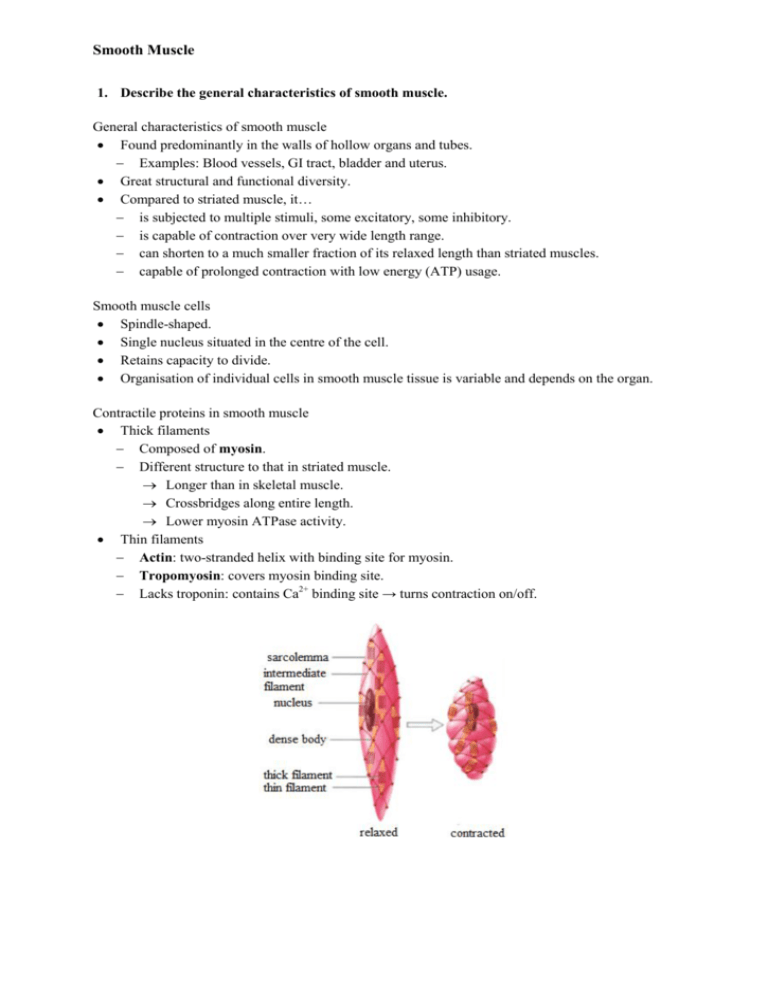 smooth-muscle-psychomedstudent