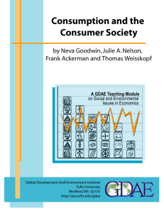 Consumption and the Consumer Society