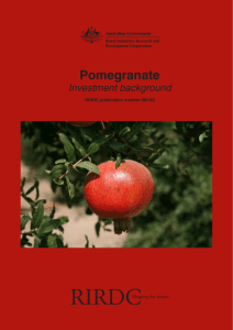 Pomegranate - Publications