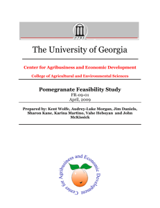 Pomegranate Feasibility Study - College of Agricultural and