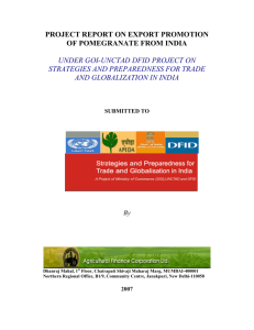 project report on export promotion of pomegranate from india