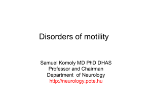 lower motor neurons