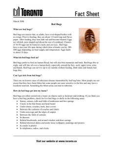 Bed Bugs fact sheet