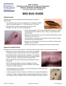 bed bug guide - Department of Business and Professional Regulation