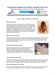 Bed Bugs - Auckland Regional Public Health Service