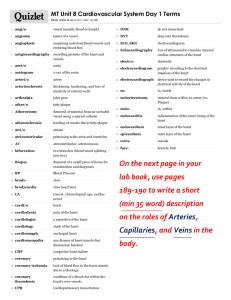 Print › MT Unit 8 Cardiovascular System Day 1 Terms | Quizlet
