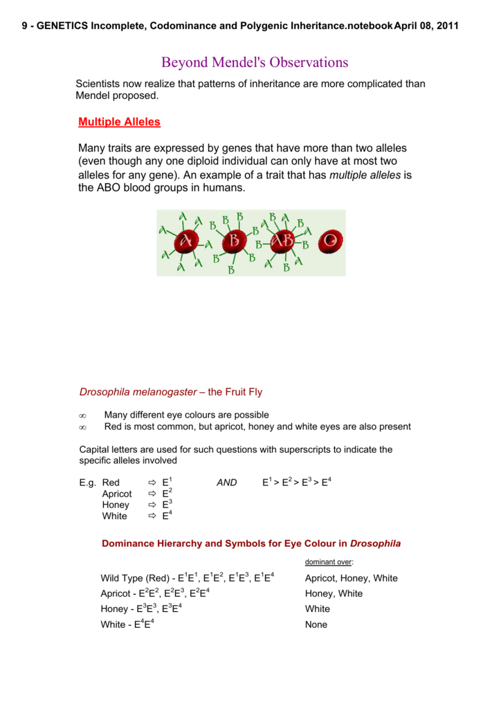 incomplete-codominance-and-polygenic-inheritance