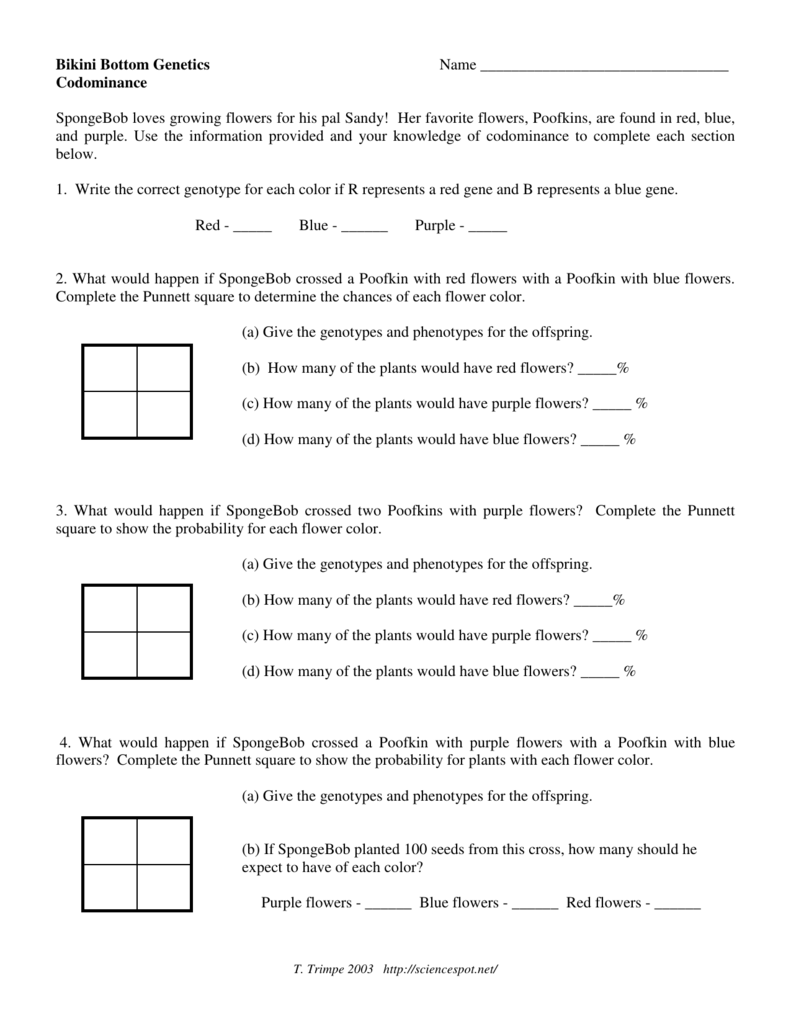 genetics codominance worksheet answers