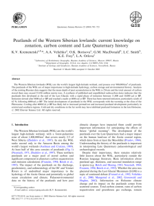 Peatlands of the Western Siberian lowlands: current knowledge on