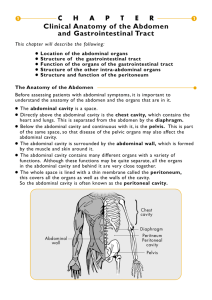 Clinical Anatomy of the Abdomen and Gastrointestinal Tract