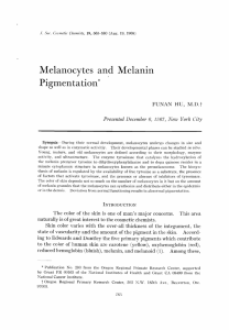 Melanocytes and Melanin Pigmentation