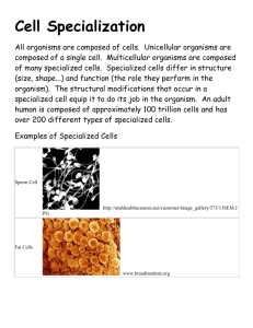 Cell Specialization