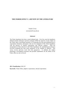 the fisher effect: a review of the literature