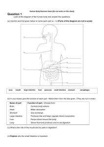 Human Body Revision Sheet