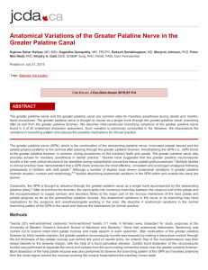 Anatomical Variations of the Greater Palatine Nerve in the Greater