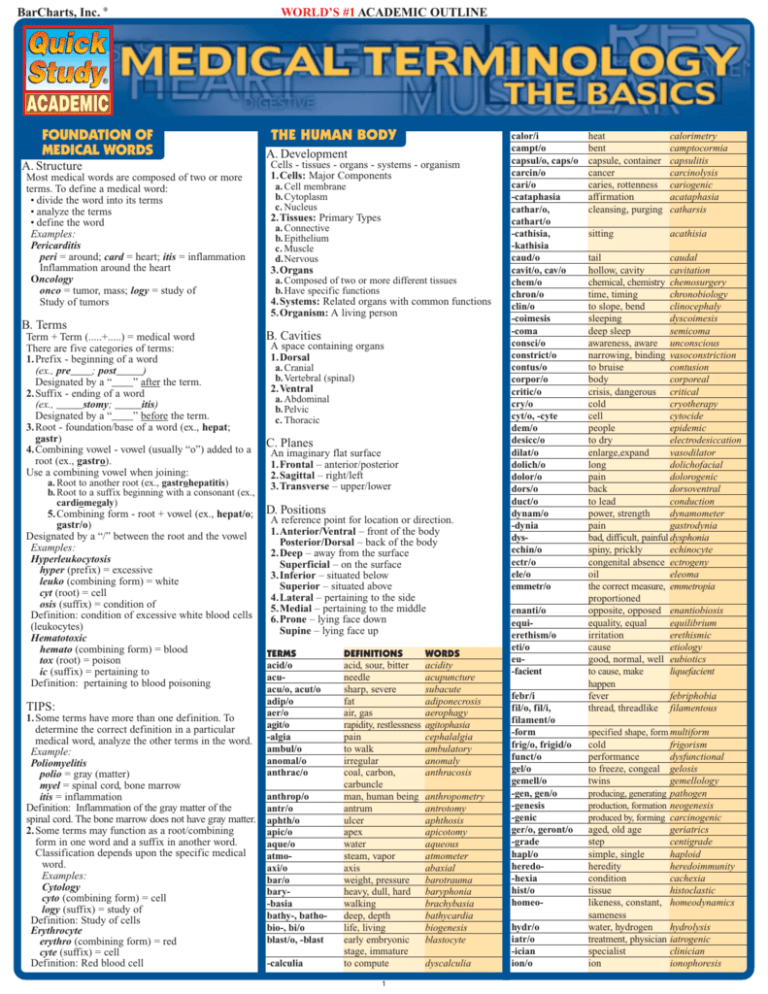 3.03 Medical Terminology Chart