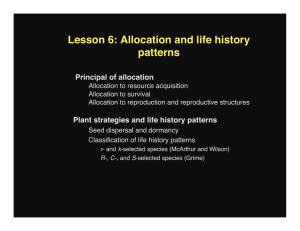 Lesson 6: Allocation and life history patterns