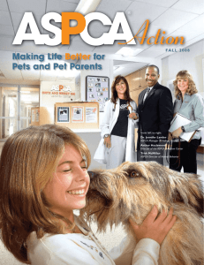 Making Life Better for Pets and Pet Parents