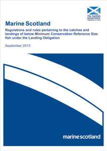 Regulations and rules pertaining to the catches and landings of