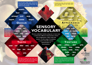 Sensory vocabulary poster