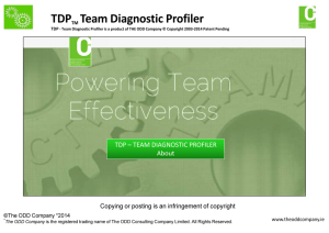 TDPTM Team Diagnostic Profiler