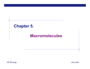 Chapter 5. Macromolecules