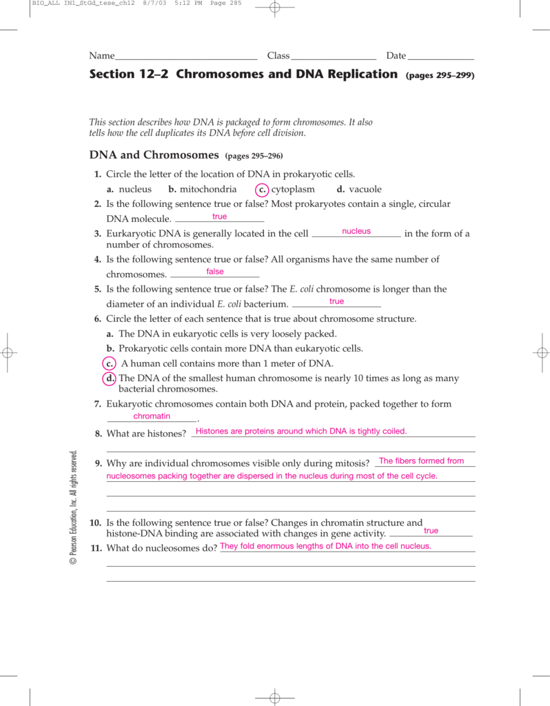 Dna And Replication Worksheet Answers