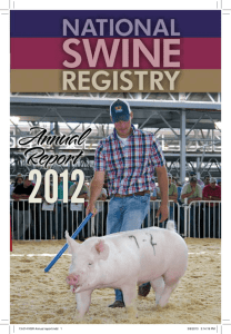 Annual Report - National Swine Registry