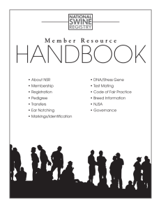 NSR Member Handbook - The Judging Connection .com
