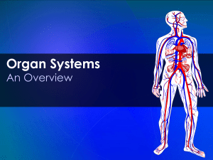 Organ Systems