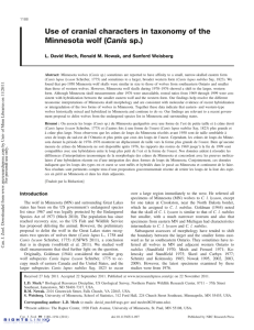 Use of cranial characters in taxonomy of the Minnesota wolf (Canis