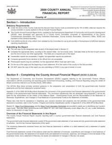 2009 county annual financial report