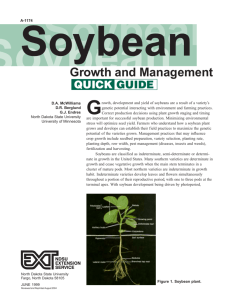Soybean Stages Defined - Marc Hutlet Seeds Ltd.