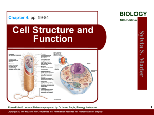Cell Structure and Function Chapter 4