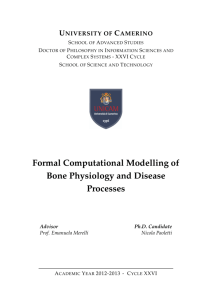 Formal Computational Modelling of Bone Physiology and Disease