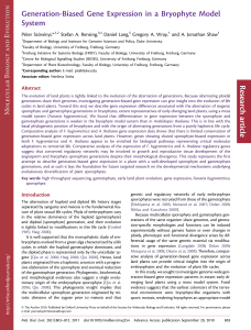 Generation-Biased Gene Expression in a Bryophyte Model System