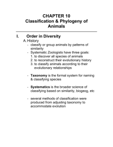 CHAPTER 10 Classification & Phylogeny of Animals